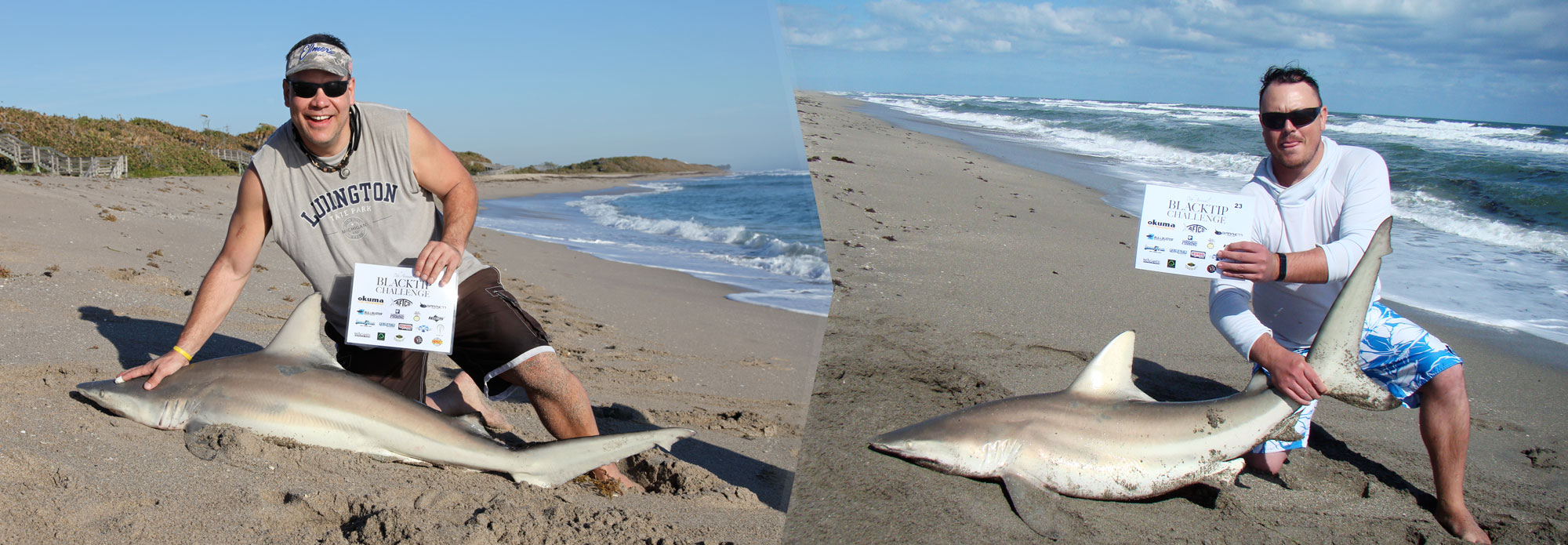 Blacktip shark caught in the Blacktip Challenge shark fishing tournament