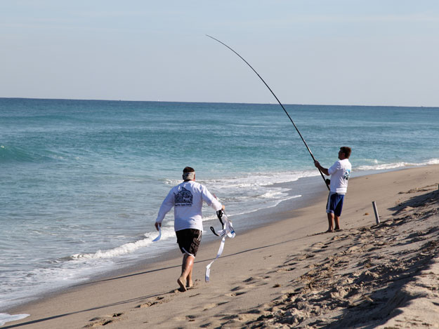 Angler fighting a blacktip shark on surf fishing tackle in the 2015 Blacktip Challenge shark fishing tournament