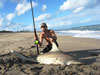 Blacktip shark caught by Josh Maib during the 2008 Blacktip Challenge shark fishing tournament in Florida