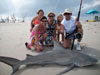 Bull shark caught by Mike Palmer during the 2008 Blacktip Challenge shark fishing tournament in Florida