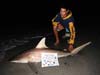 Steven Stallings won the largest shark prize for a junior angler in the 2012 Blacktip Challenge shark fishing tournament in Florida