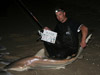 CJ Floyd caught the largest shark on 30lb test line during the 2013 Blacktip Challenge shark fishing tournament in Florida