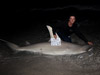 Team Infinity caught this 10+ft great hammerhead shark during the 2013 Blacktip Challenge shark fishing tournament in Florida