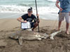 Blacktip shark caught by AJ Rotondella during the 2014 Blacktip Challenge shark fishing tournament in Florida