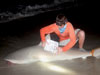 Junior angler Cameron McClellan caught this bull shark during the 2014 Blacktip Challenge shark fishing tournament in Florida