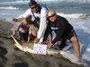 Blacktip shark caught by Team Reel Warriors in the 2015 Blacktip Challenge