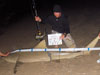 Lemon shark caught by Saltwater Cowboys in the 2015 Blacktip Challenge