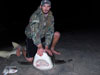 Lemon shark caught by Team Saltwater Cowboys in the 2015 Blacktip Challenge