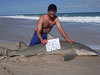 Lemon shark caught by Team Bombers in the 2015 Blacktip Challenge