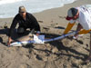 Blacktip shark caught by Team Getting Bent in the 2015 Blacktip Challenge