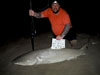 Lemon shark caught by Team Getting Bent in the 2015 Blacktip Challenge