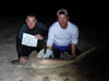 Blacktip shark caught by Team Impact in the 2015 Blacktip Challenge