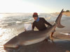 Monster bull shark caught by Team No Drag that won the 2015 Blacktip Challenge