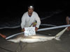 Blacktip shark caught by Team Quick Release in the 2015 Blacktip Challenge