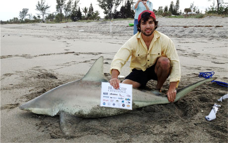 Image Gallery for the Blacktip Challenge shark fishing tournament